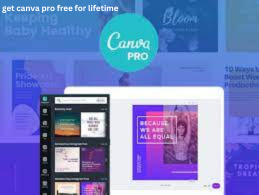 How to get bingo tingo canva pro free for lifetime