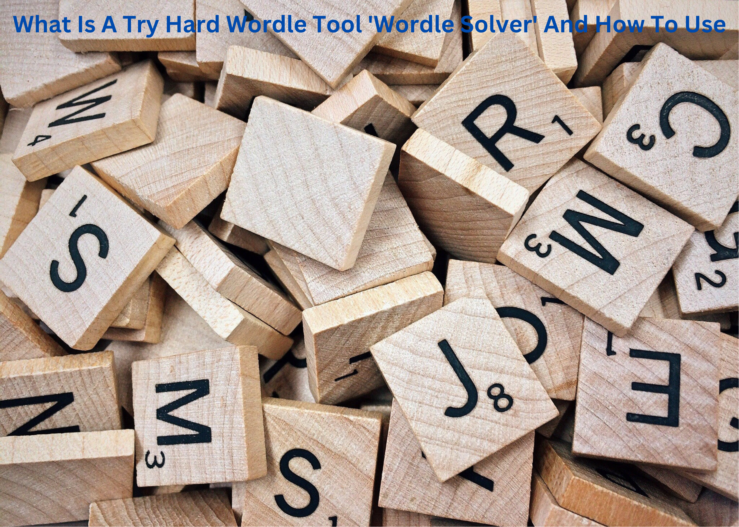What Is A Try Hard Wordle Tool ‘Wordle Solver’ And How To Use